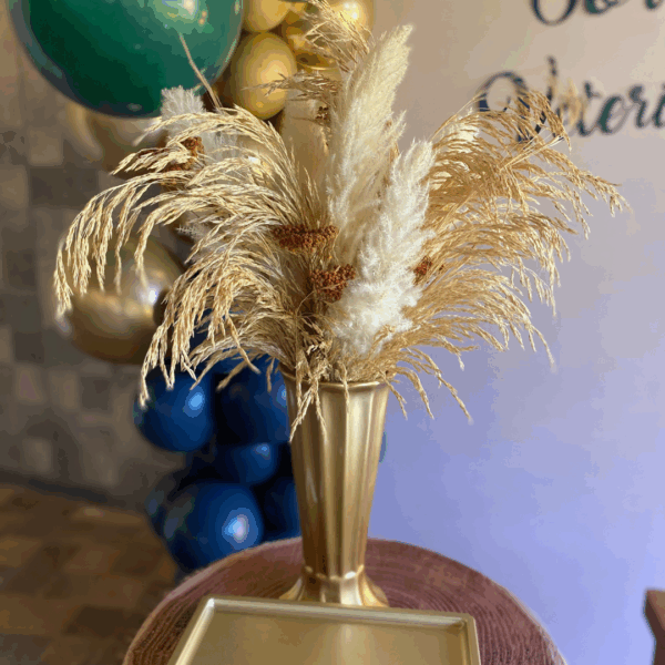 Formatura Veterinária - Image 4